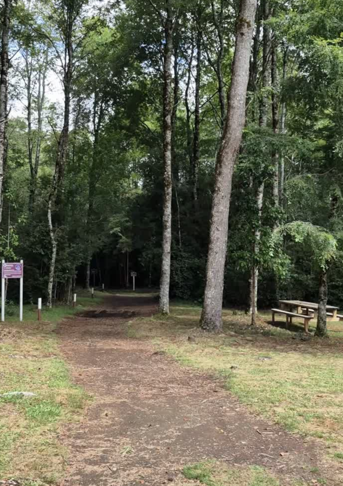 Parque Nacional Alerce Andino