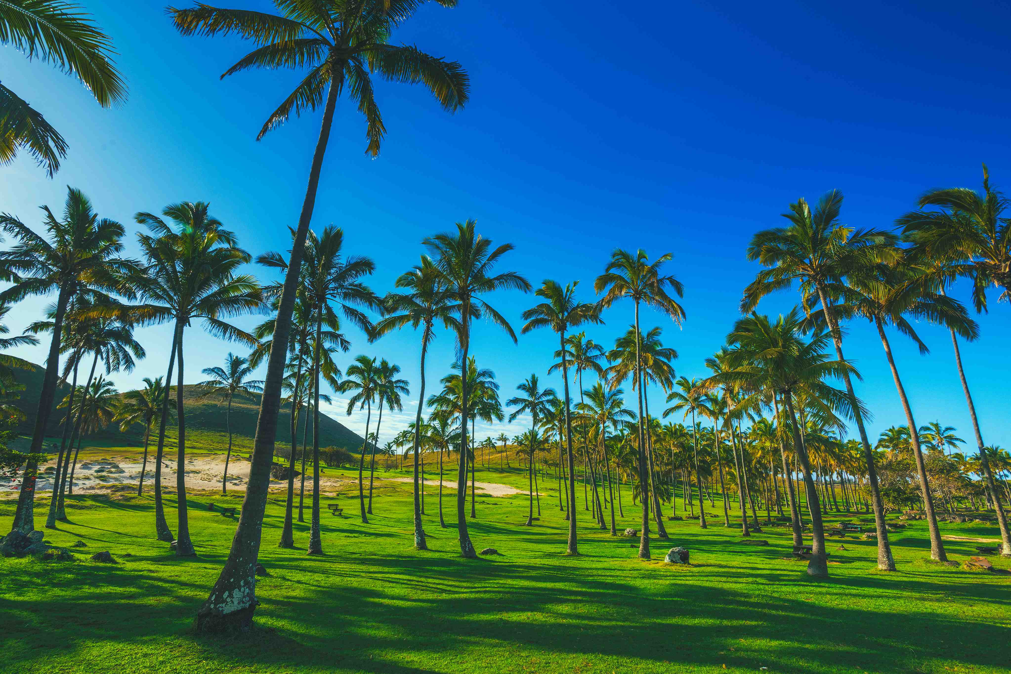 Easter Island travel