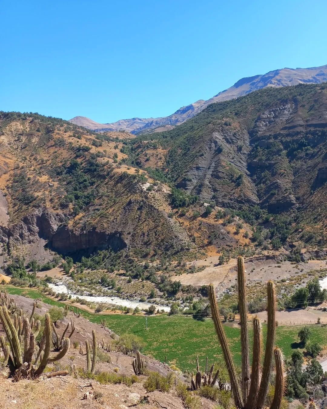 Cajón del Maipo Landscape